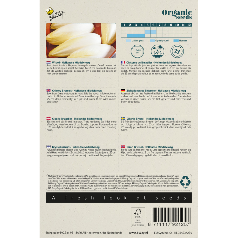 Biologische Witlof Hollandse Middelvroeg