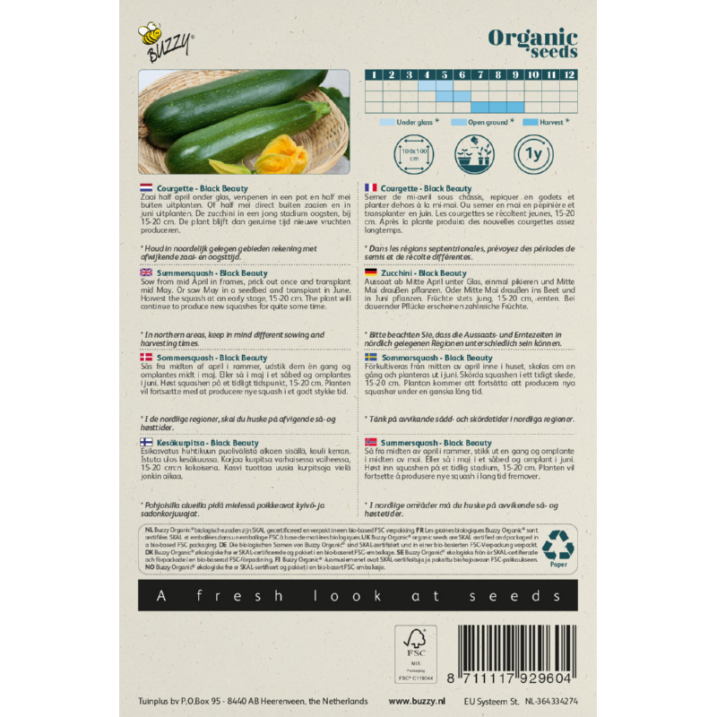 Biologische Courgette Black Beauty