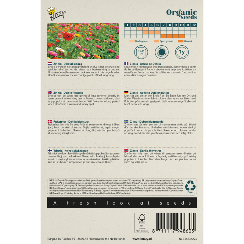 Biologische Zinnia dubbele Dahliabloemige mix