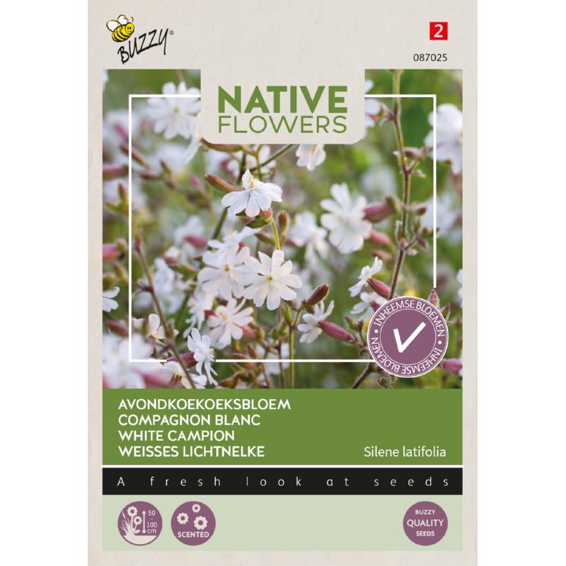 Native Flowers, Avondkoekoeksbloem