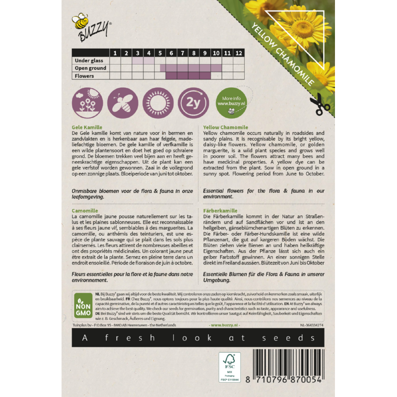 Native Flowers, Gele Kamille