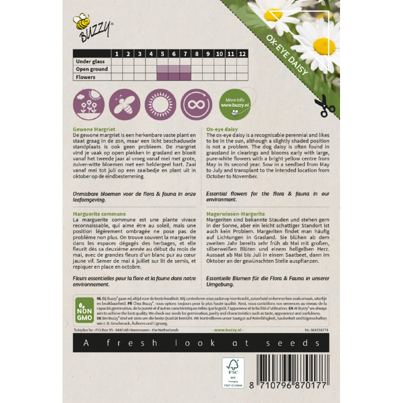 Native Flowers, Margriet