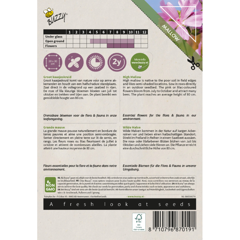 Native Flowers, Groot kaasjeskruid