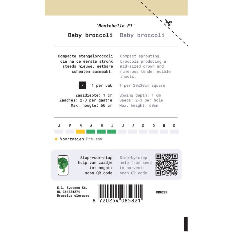 Baby broccoli Montabello F1