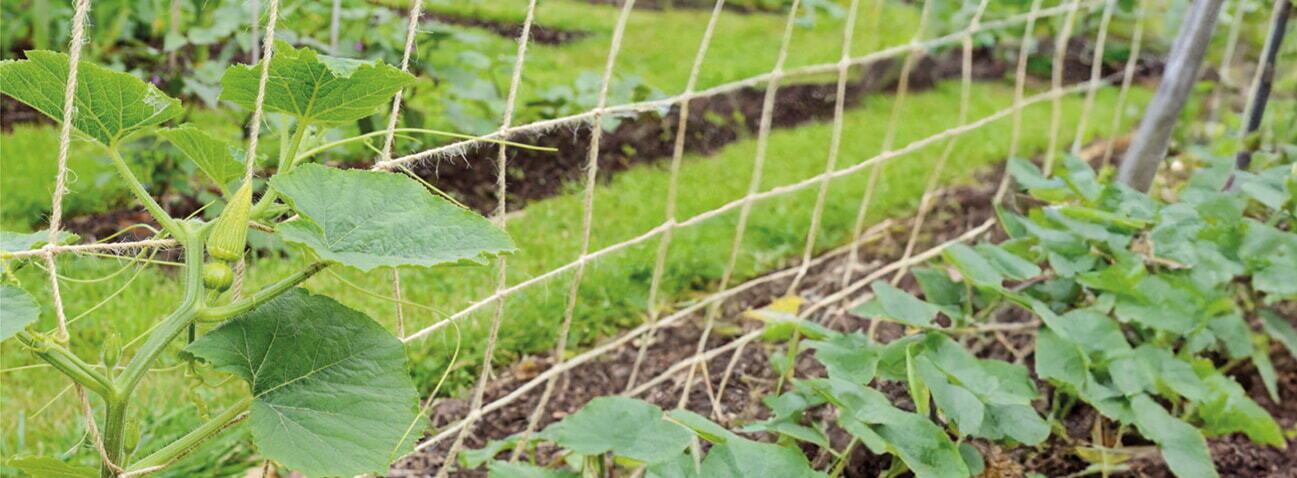 Tuinnet 1.8x1.8m naturel