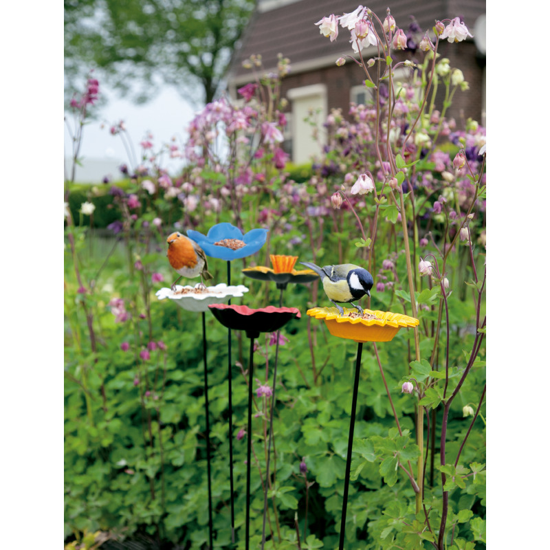 Feeder stake vergeet-me-niet