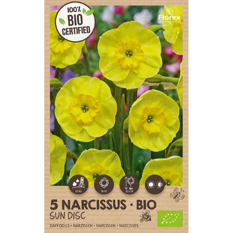 Biologische Narcis Sun Disc 10/12, 5 stuks