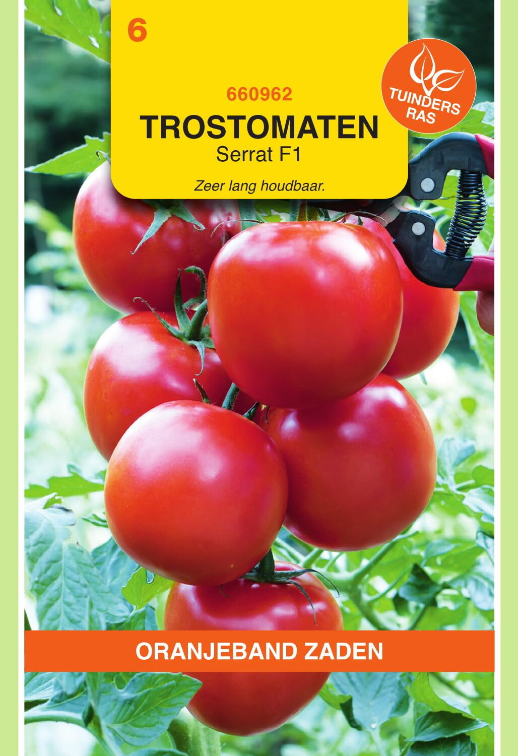 OBZ Tomaten Zaden Serrat F1