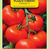 OBZ Tomaten Zaden Fandango F1