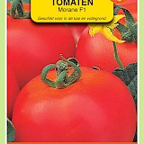 OBZ Tomaten Zaden Morane F1