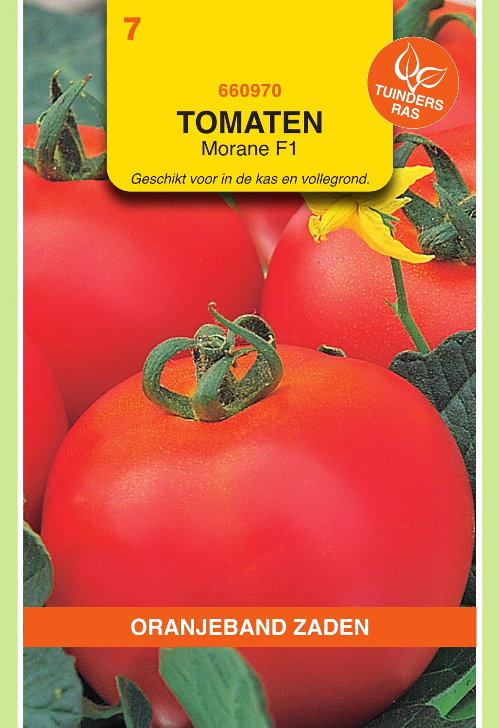 OBZ Tomaten Zaden Morane F1