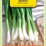 OBZ Bosui Zaden White Lisbon