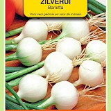 OBZ Zilverui Zaden Barletta