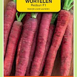 OBZ Wortelen Zaden Redsun F1