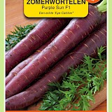 OBZ Wortelen Zaden Purple Sun F1