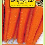 OBZ Winterwortelen Zaden Bergen F1