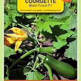 OBZ Courgette Zaden Klimmend Black Forest F1