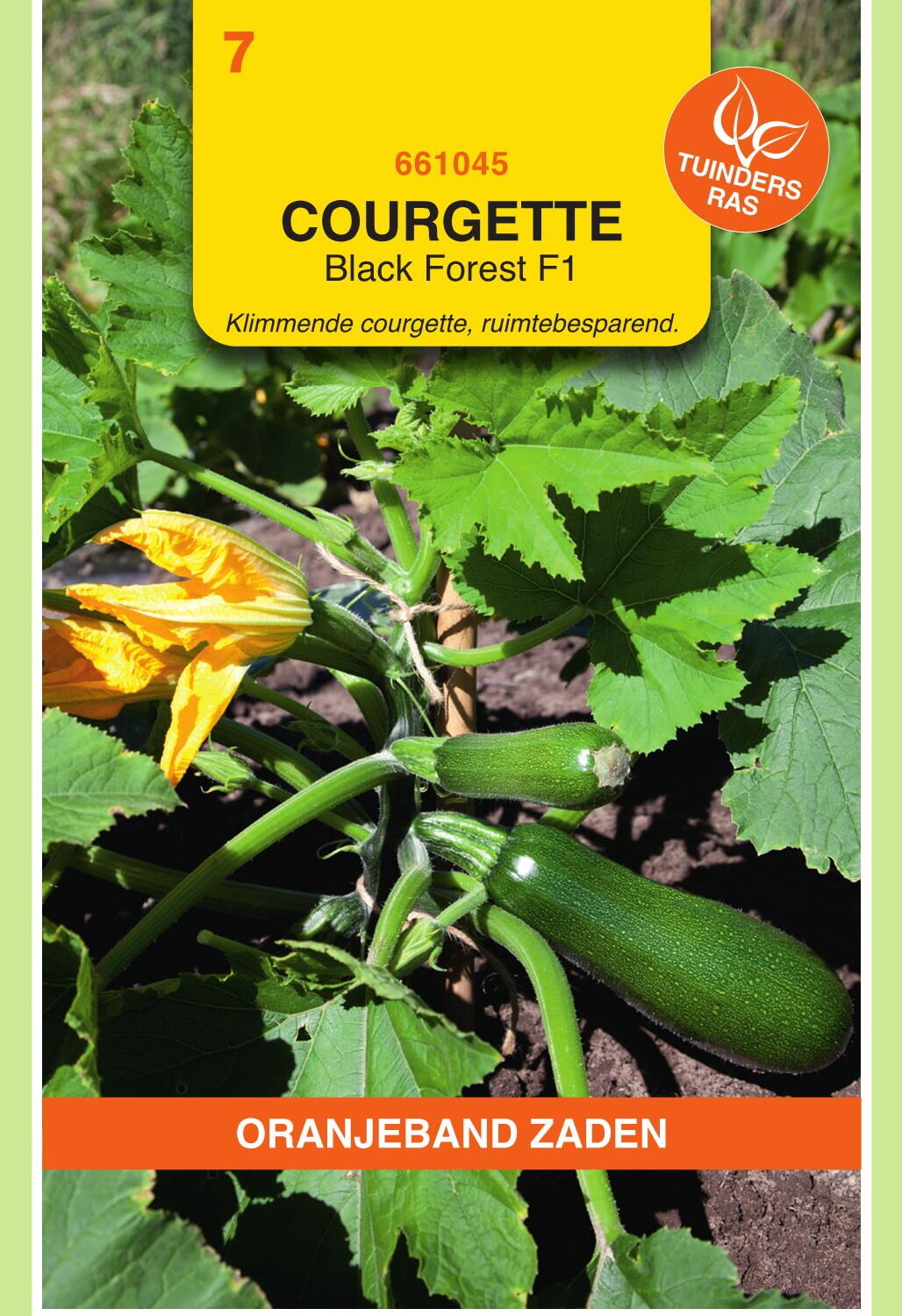 OBZ Courgette Zaden Klimmend Black Forest F1