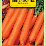 OBZ Winterwortelen Zaden Berlikumer 2