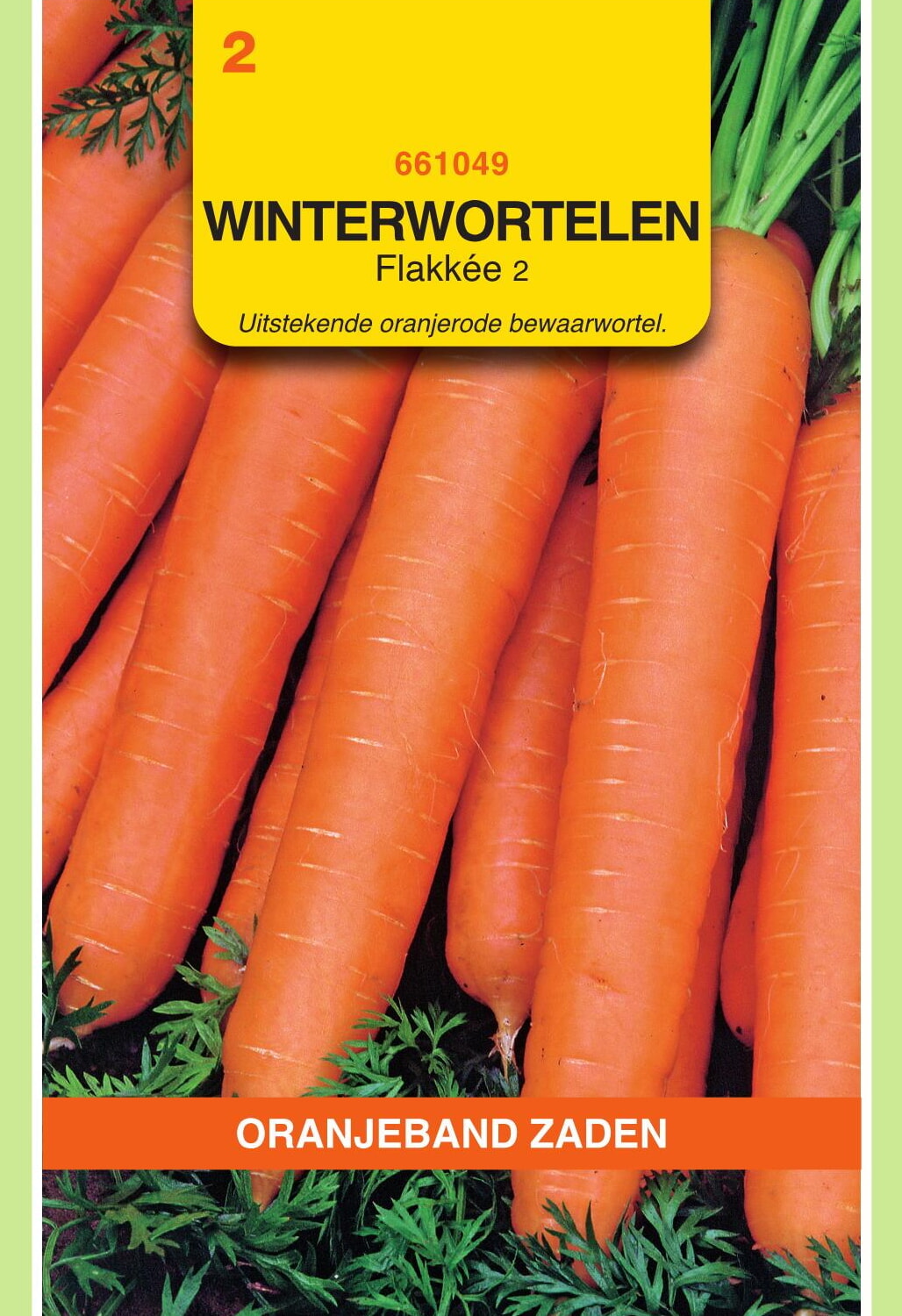 OBZ Winterwortelen Zaden Flakkée 2