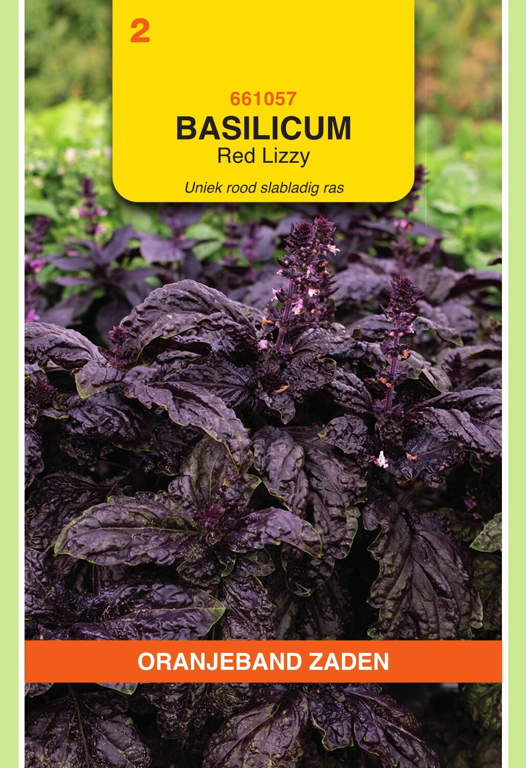 OBZ Basilicum Zaden Rode slabladige Red Lizzy
