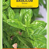 OBZ Basilicum Zaden Grove