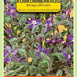 OBZ Borage Zaden Komkommerkruid
