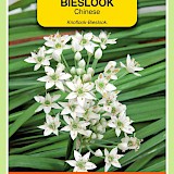 OBZ Bieslook Zaden Chinese