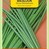 OBZ Bieslook Zaden Grove - Winterhecke