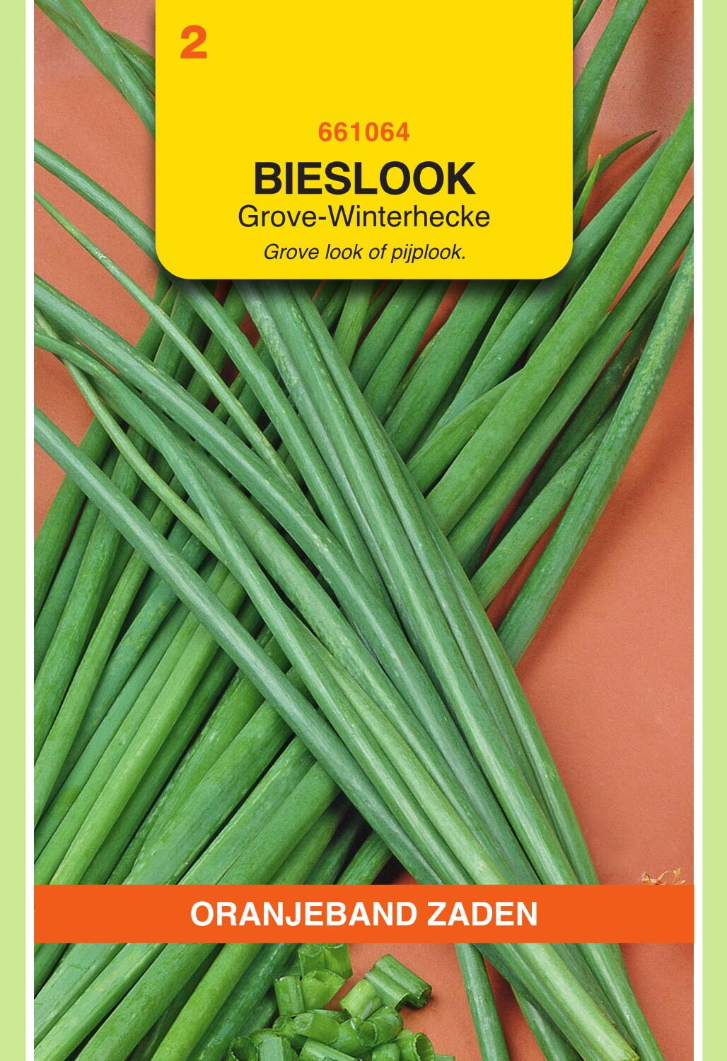 OBZ Bieslook Zaden Grove - Winterhecke