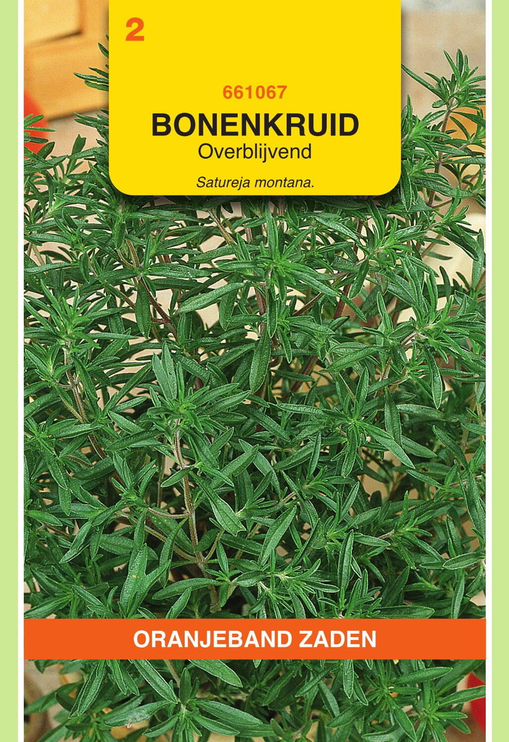 OBZ Bonenkruid Zaden Overblijvend