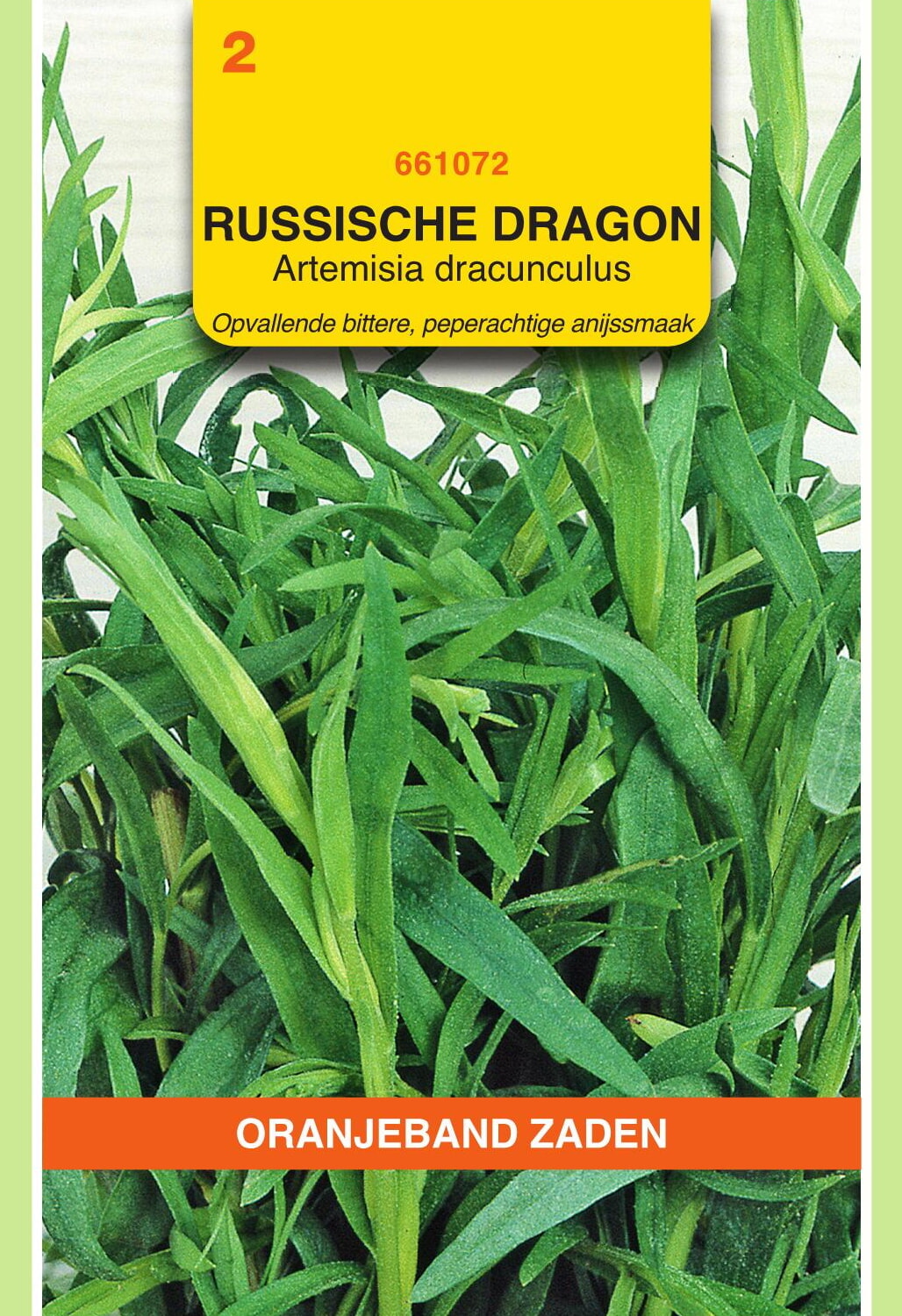 OBZ Russische Dragon Zaden
