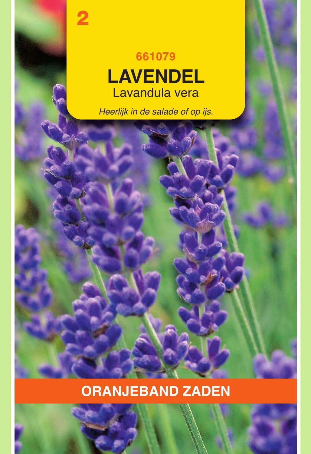 OBZ Lavendel Zaden