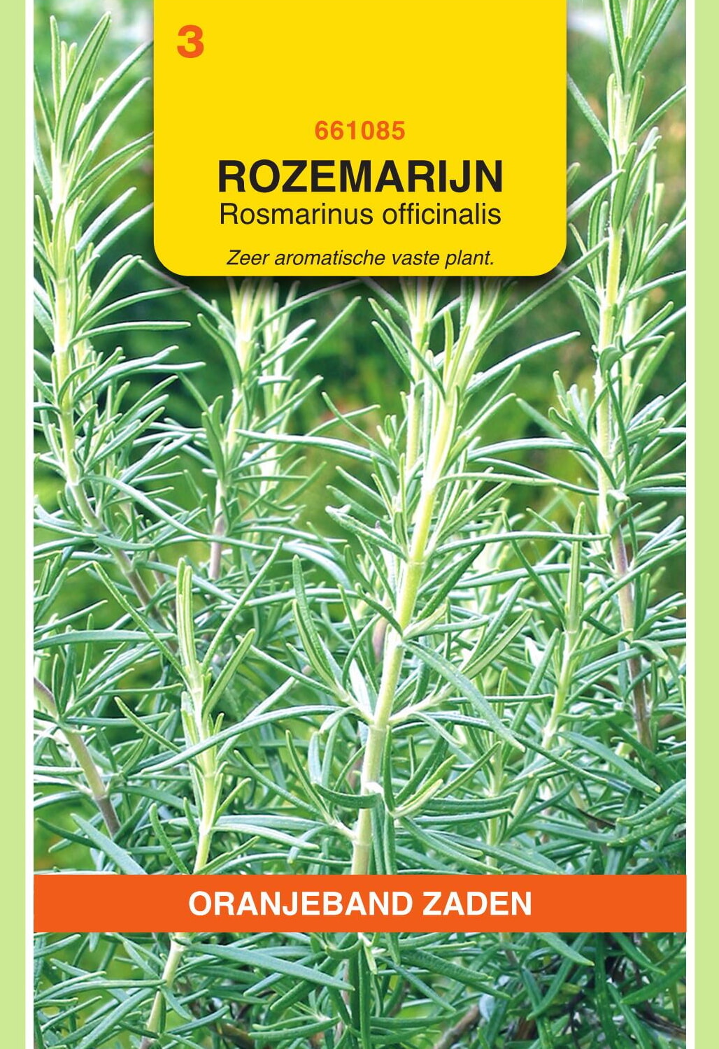 OBZ Rozemarijn Zaden