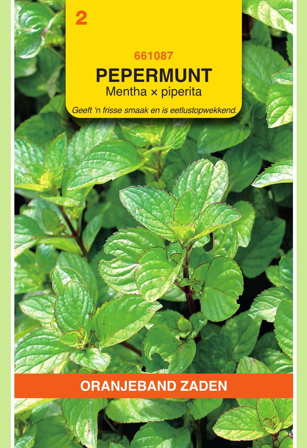 OBZ Pepermunt Zaden
