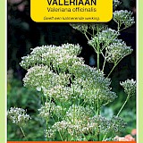 OBZ Valeriaan Zaden