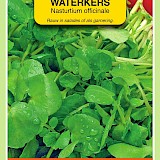 OBZ Waterkers Grootbladige Zaden