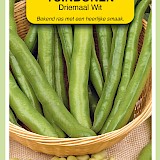 OBZ Tuinbonen Zaden Driemaal Wit 250g