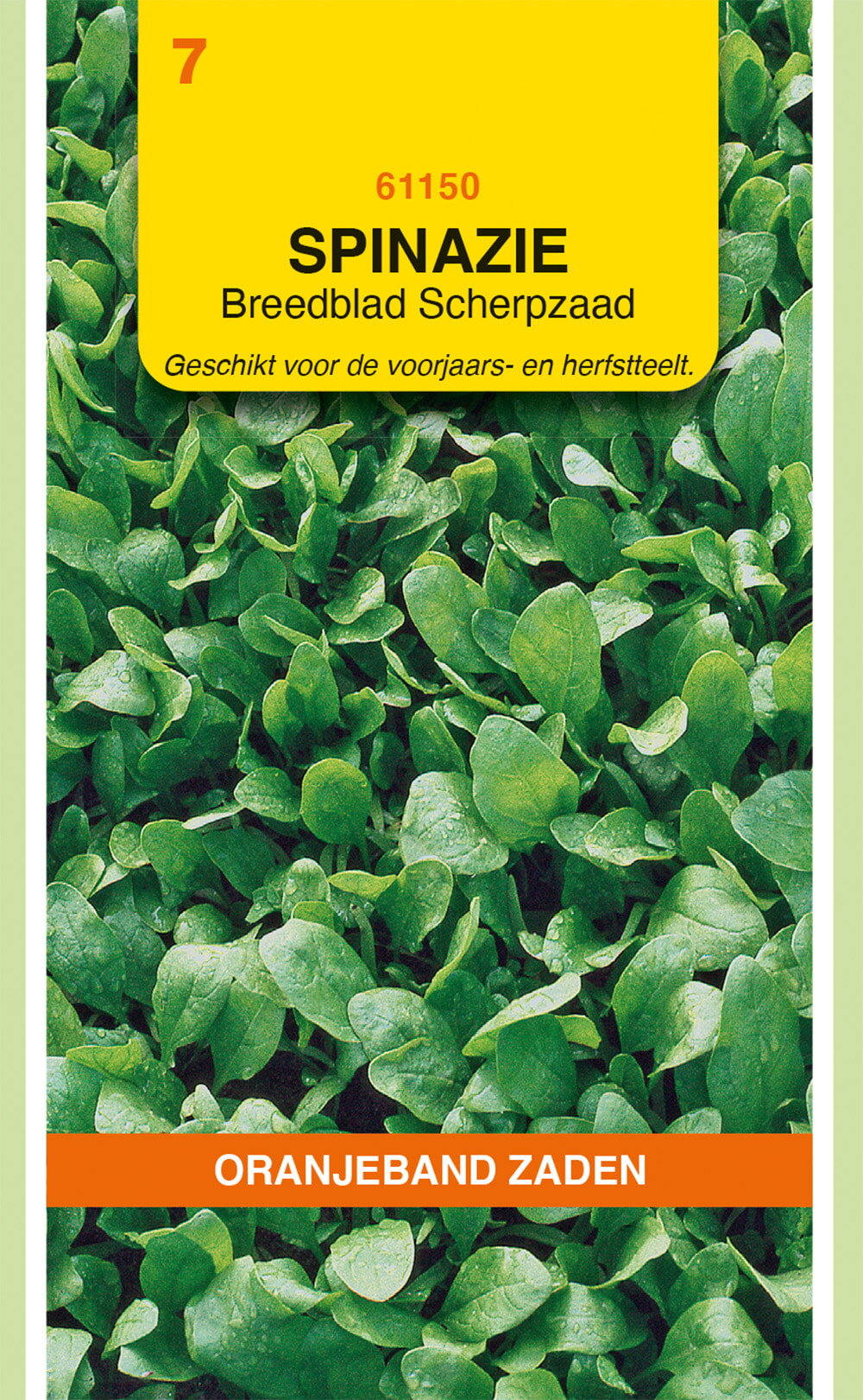 OBZ Spinazie Zaden Breedblad Scherpzaad 250g