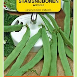OBZ Stamsnijbonen Zaden Admires 25g