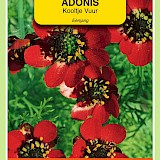 OBZ Kooltje Vuur Zaden Rood