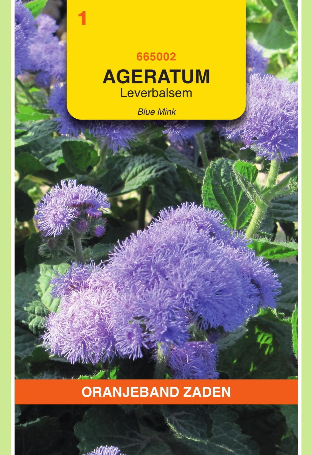 OBZ Leverbalsem Zaden Blue Mink