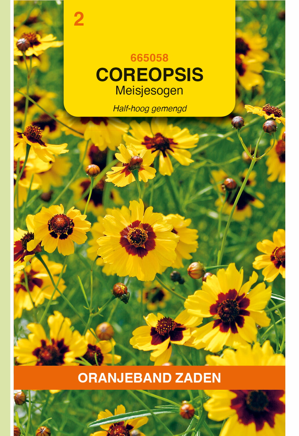 OBZ Meisjesogen Zaden Half-Hoog Gemengd