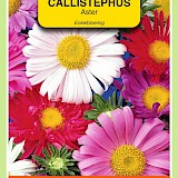 OBZ Aster Zaden Enkelbloemig Gemengd