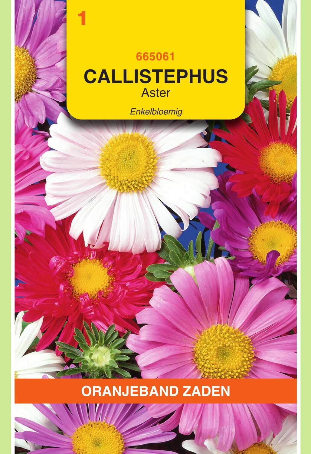 OBZ Aster Zaden Enkelbloemig Gemengd