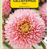 OBZ Aster Zaden Balloon Chamois
