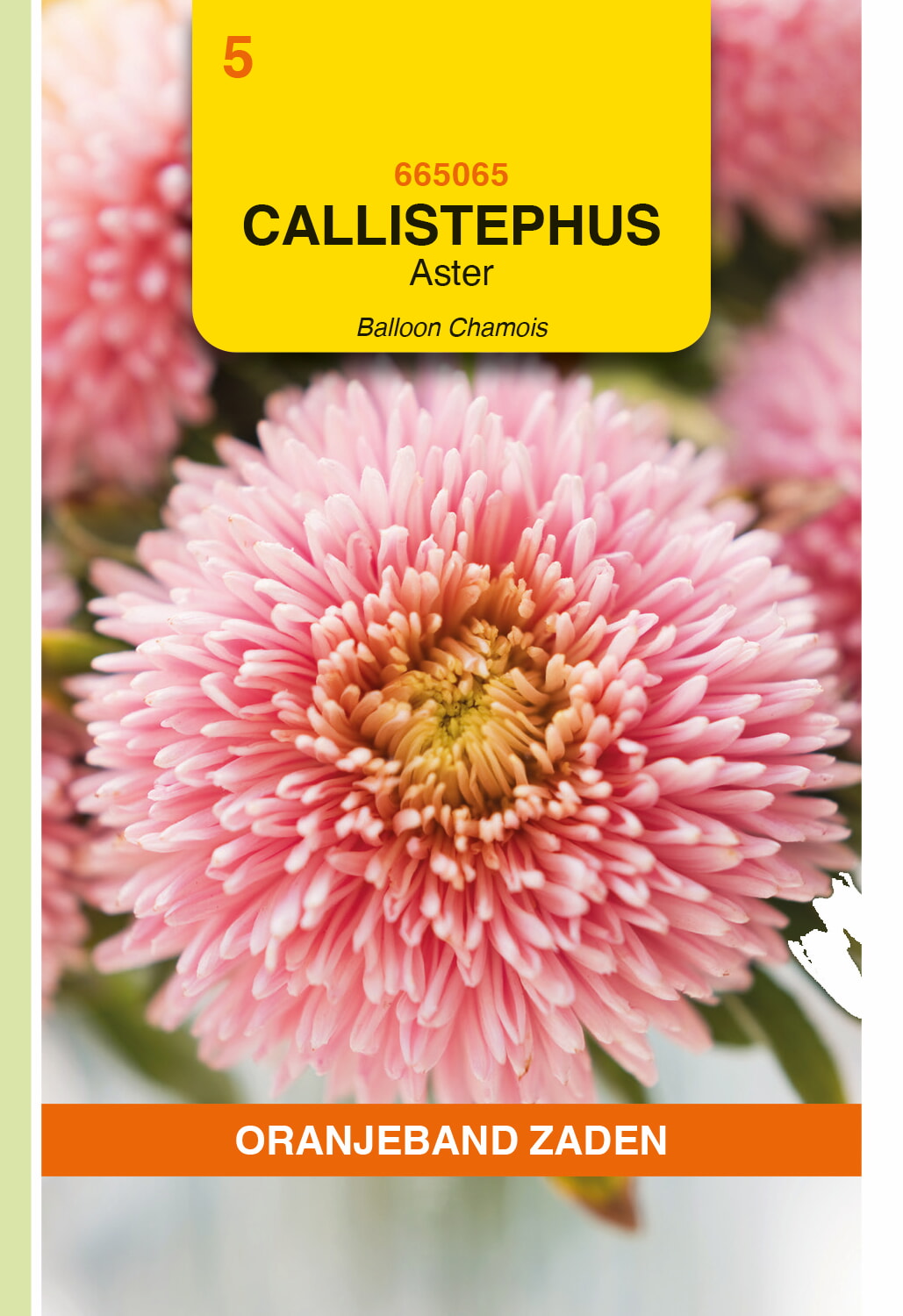 OBZ Aster Zaden Balloon Chamois