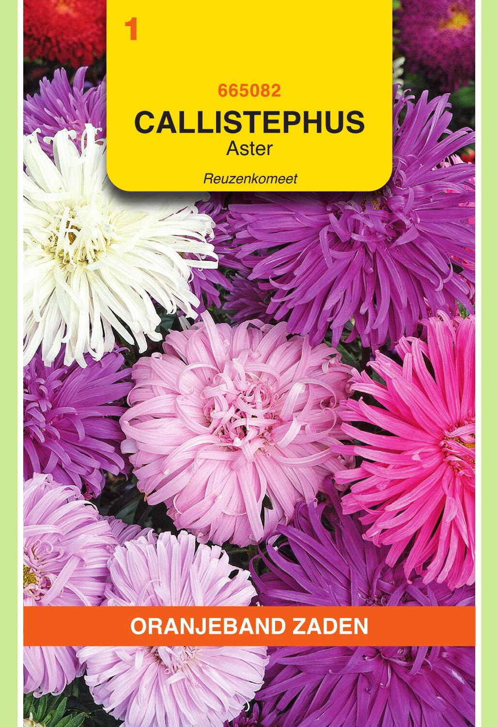 OBZ Aster Zaden Reuzenkomeet Gemengd