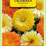 OBZ Goudsbloem Zaden Gemengd