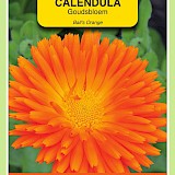 OBZ Goudsbloem Zaden Ball's Orange